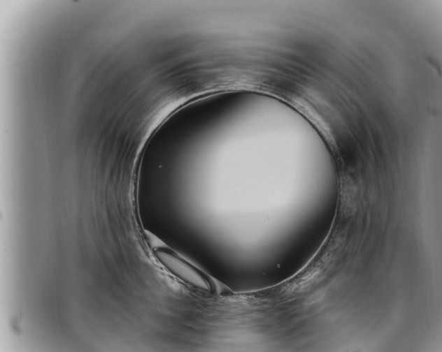 X0000097510956200802291616