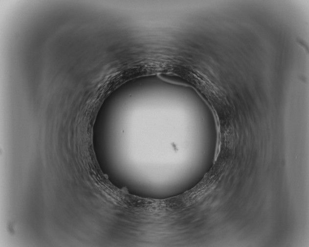 X0000097510961200802291615