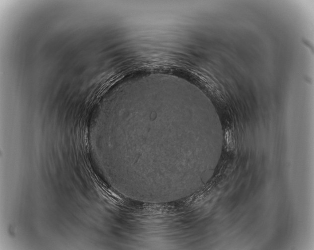 X0000097510963200802291615