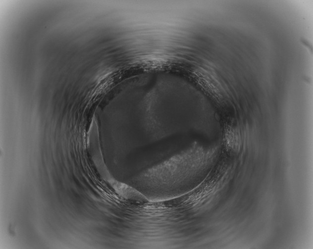 X0000097510964200802291615