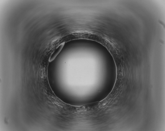 X0000097510965200802291615