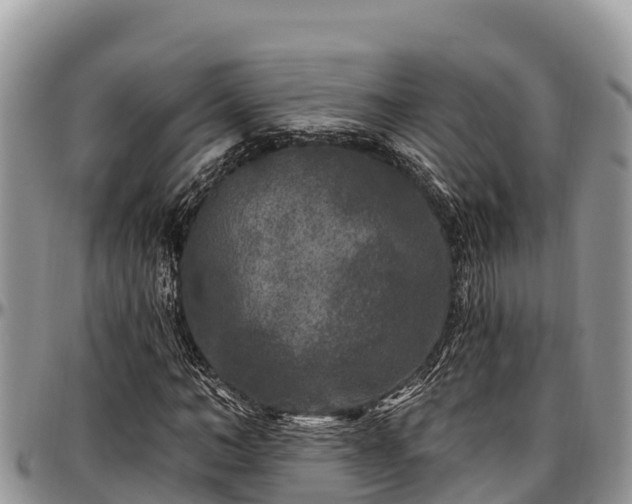 X0000097510966200802291615