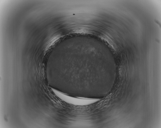 X0000097510968200802291615