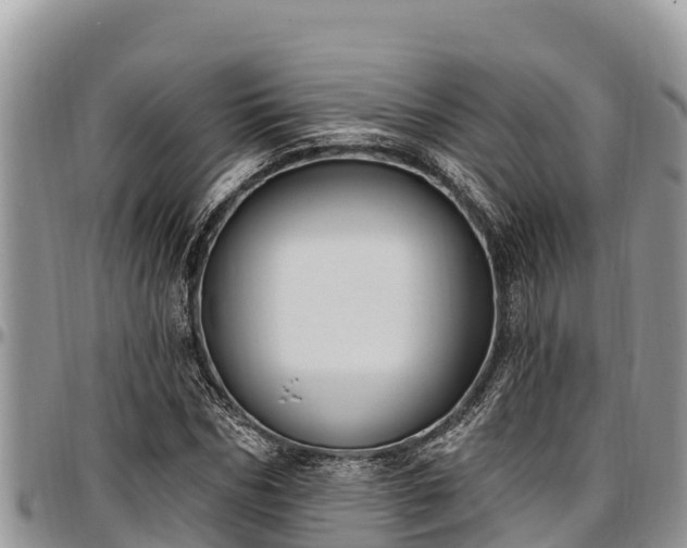X0000097510970200802291615