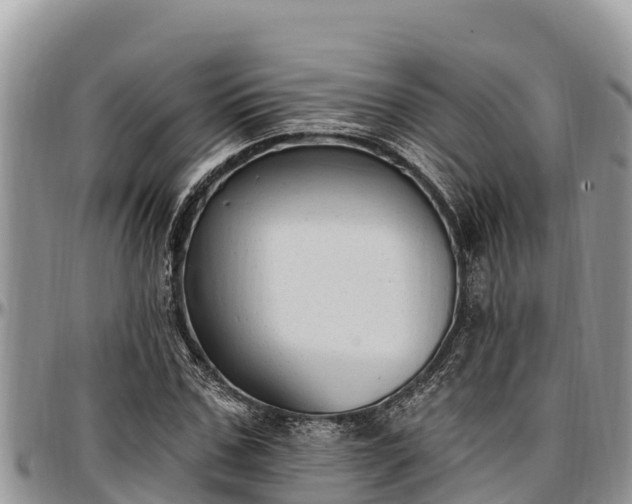 X0000097510971200802291615