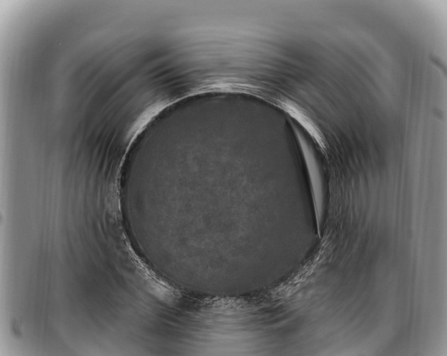X0000097510972200802291615