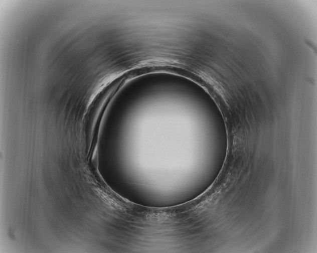 X0000097510973200802291615