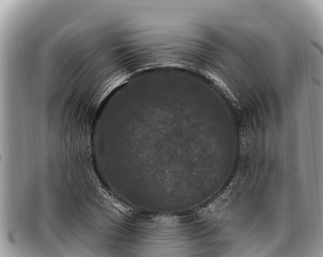 X0000097510977200802291615