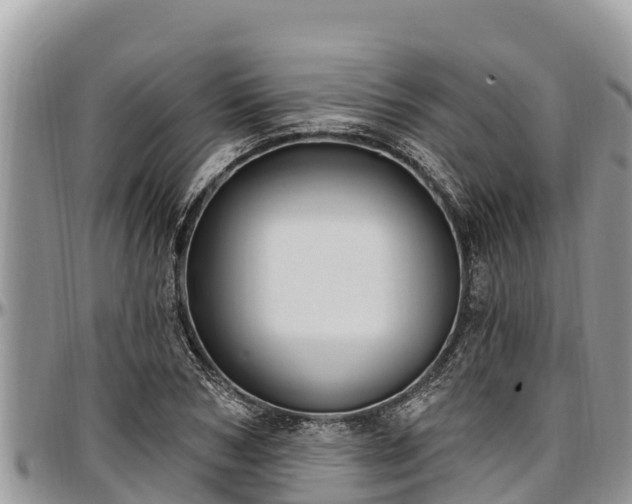 X0000097510978200802291615