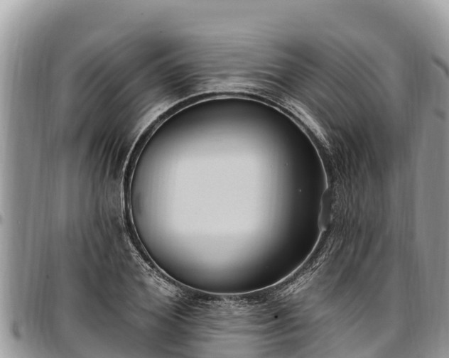 X0000097510980200802291615