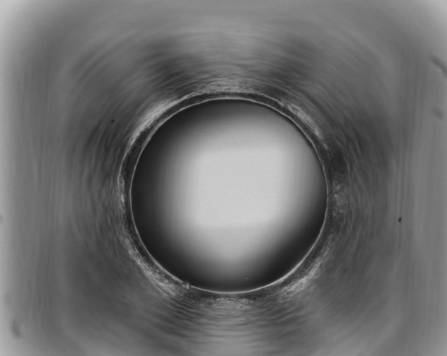 X0000097510981200802291615