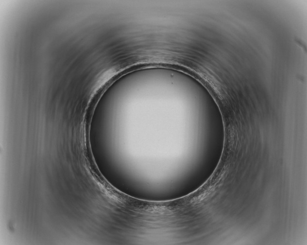 X0000097510982200802291615