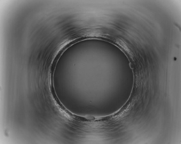 X0000097510984200802291615