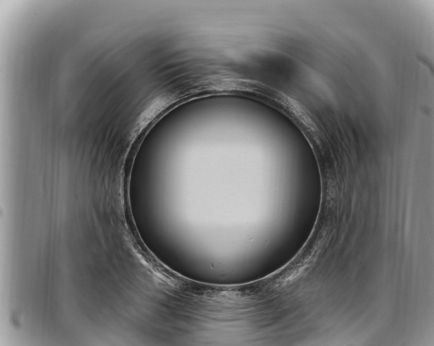 X0000097510986200802291615