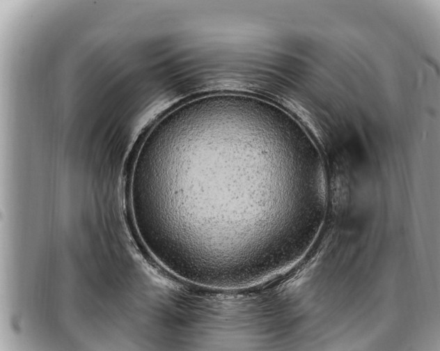 X0000097510987200802291615