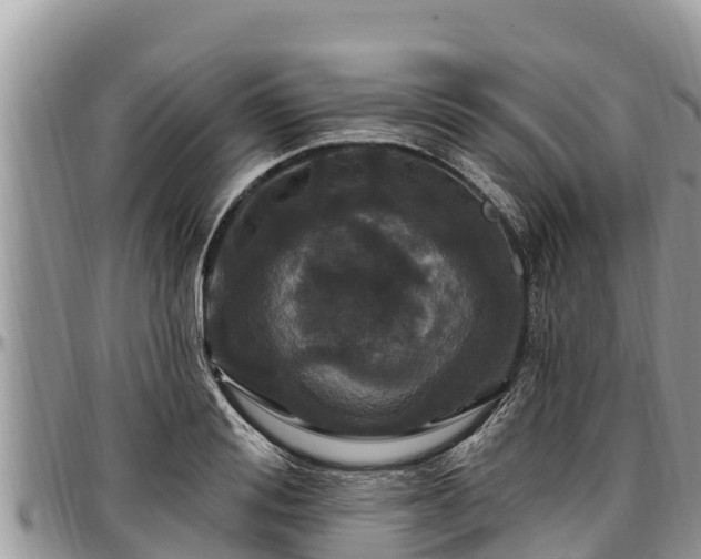 X0000097510988200802291615