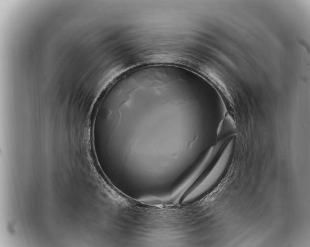 X0000097510992200802291615