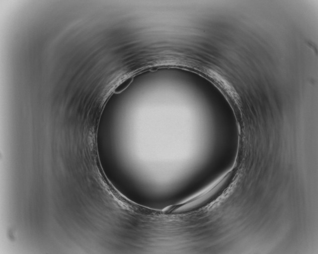 X0000097510993200802291615