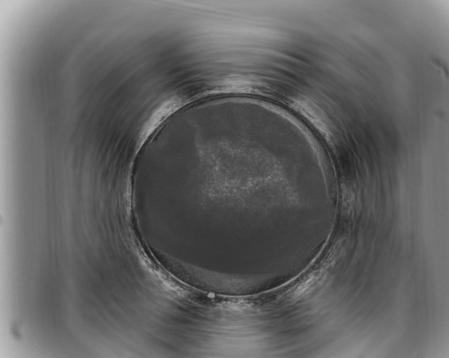 X0000097510994200802291615