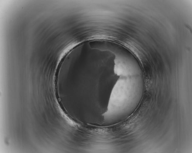 X0000097510995200802291615