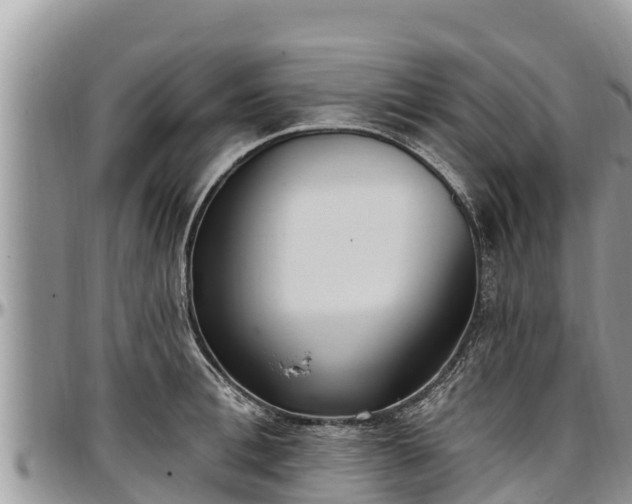 X0000097510996200802291615