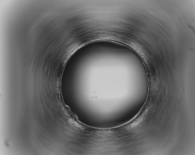 X0000097511001200802291615