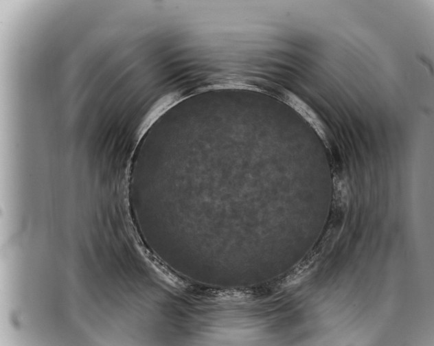 X0000097511002200802291615