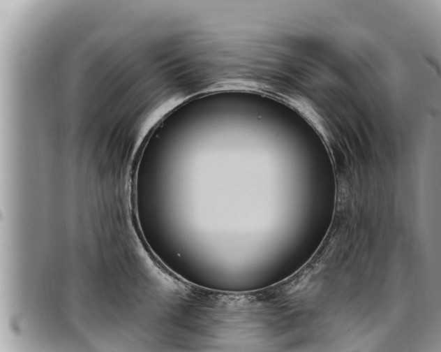 X0000097511003200802291615
