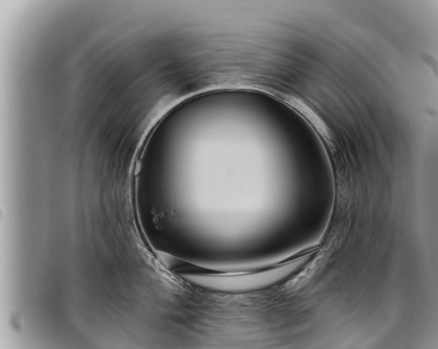 X0000097511004200802291615