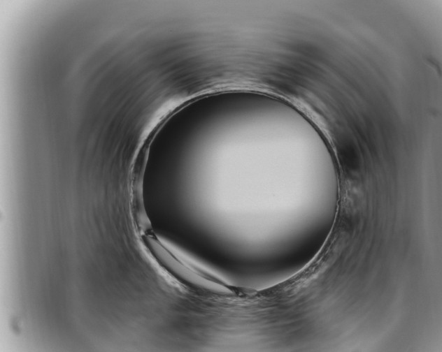 X0000097511005200802291615