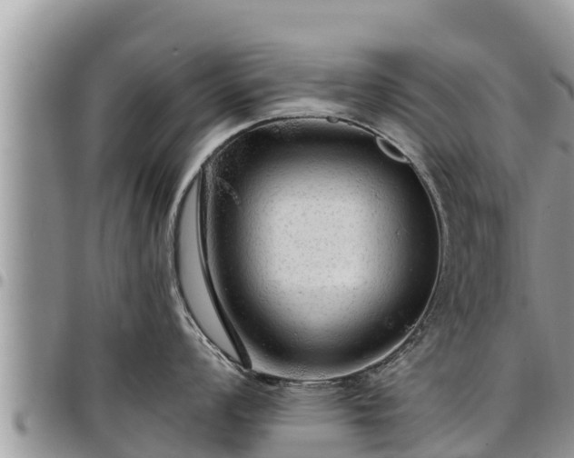 X0000097511008200802291615