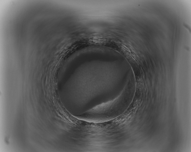 X0000097511009200802291614