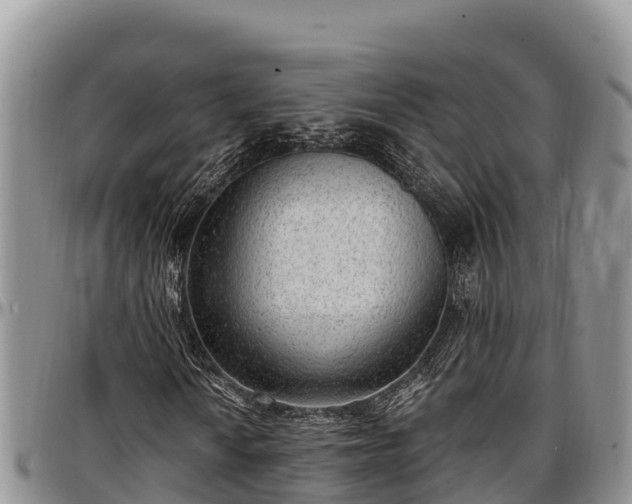 X0000097511010200802291614