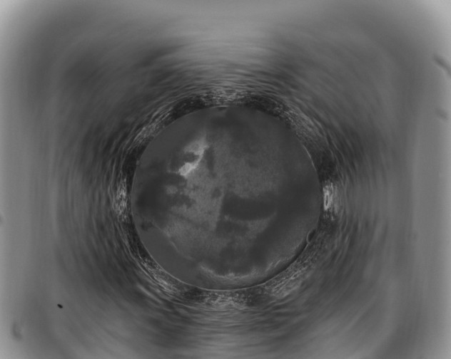 X0000097511011200802291614