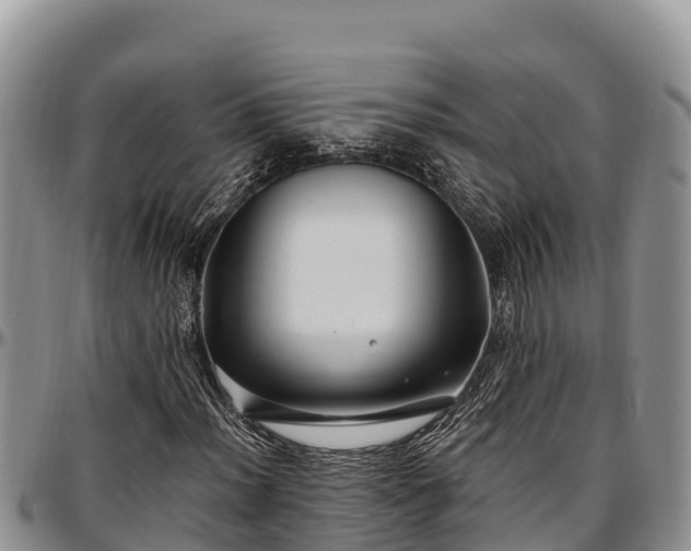 X0000097511012200802291614