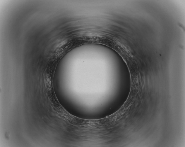 X0000097511013200802291614