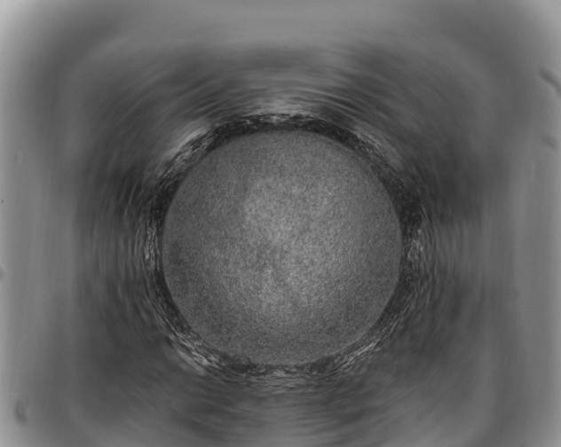 X0000097511014200802291614