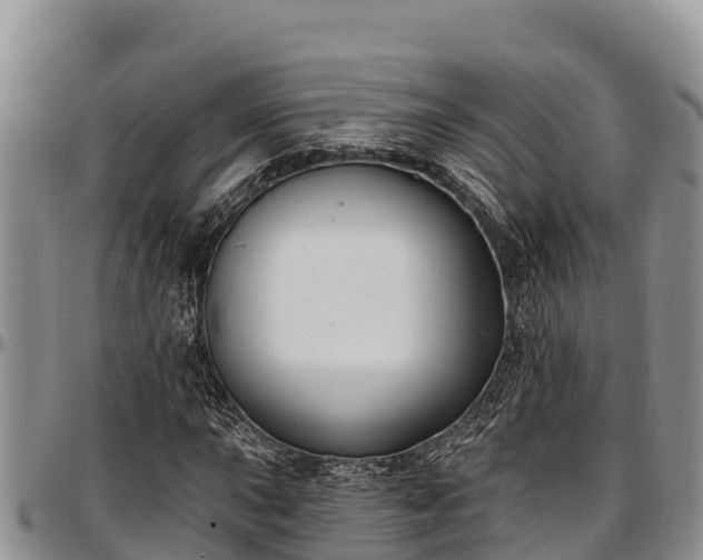 X0000097511015200802291614