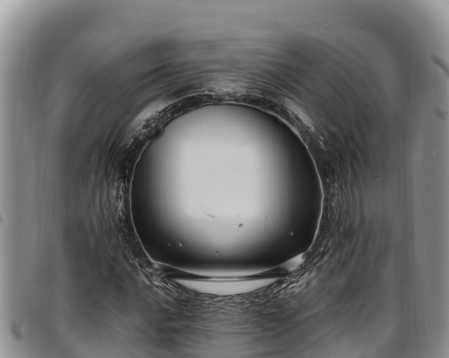 X0000097511016200802291614