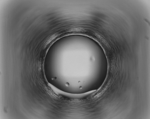 X0000097511017200802291614