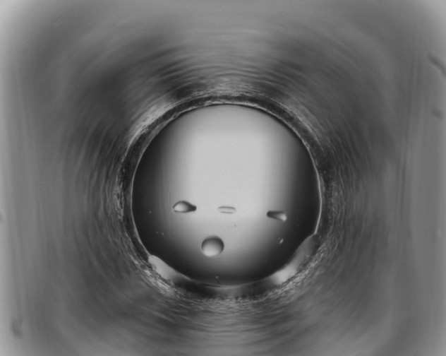 X0000097511018200802291614