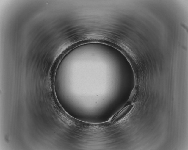 X0000097511022200802291614