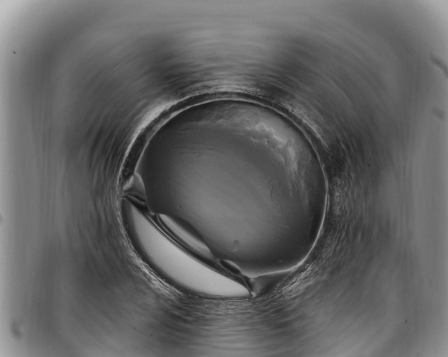 X0000097511024200802291614