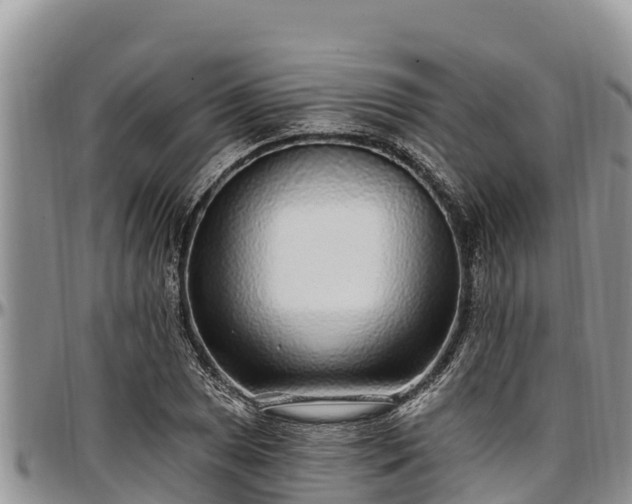 X0000097511025200802291614