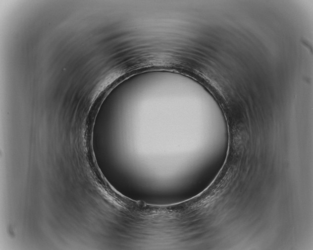X0000097511026200802291615