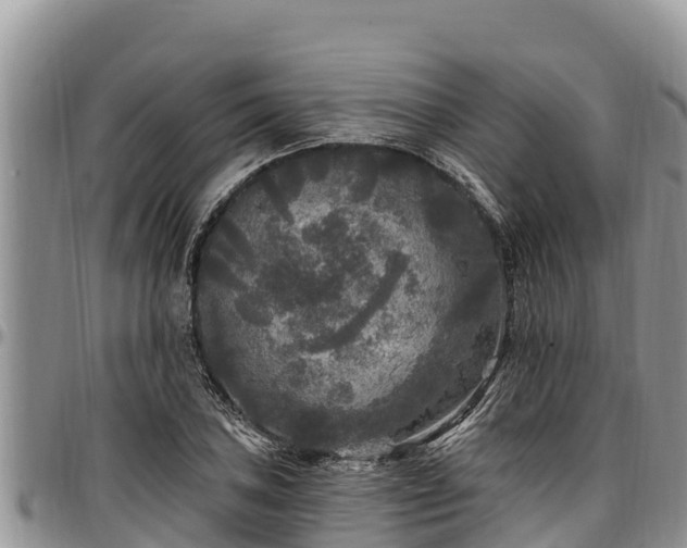X0000097511027200802291615