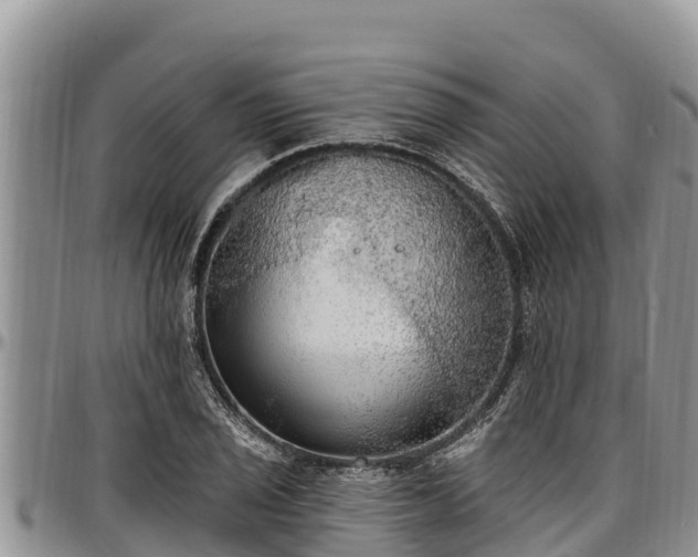 X0000097511029200802291615