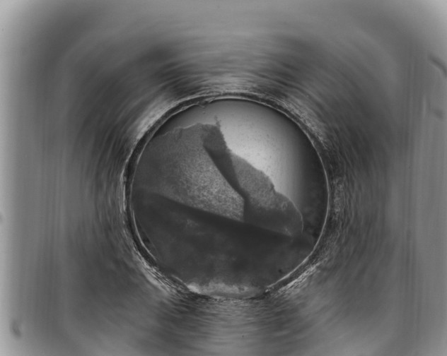 X0000097511031200802291615