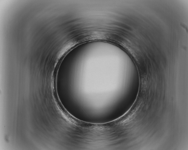 X0000097511034200802291615