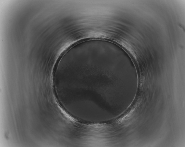 X0000097511037200802291615